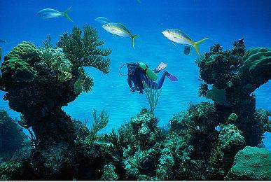 或导致偏头痛和眩晕 《铁拳8》修改争议无障碍功能